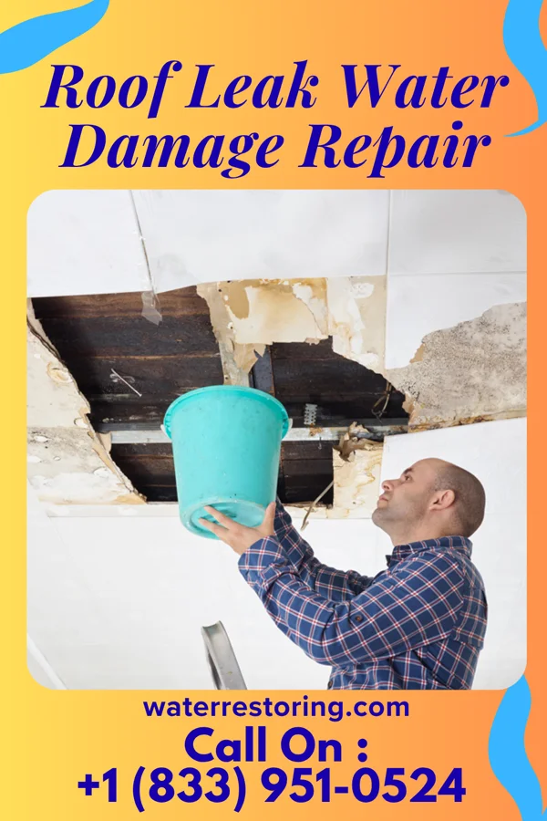 Roof Leak Water Damage Repair in Delphos, KS