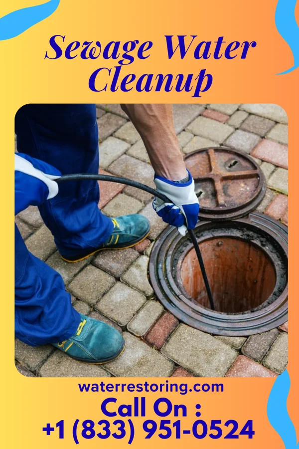 Sewage Water Cleanup in Delphos, KS